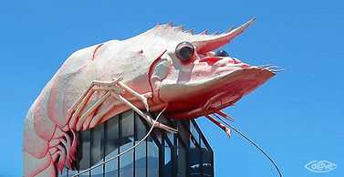 Ballina Colonial Motel