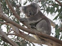 Port Campbell Motor Inn