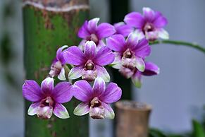 La Niche d Angkor Boutique Hotel