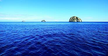 Constance Tsarabanjina