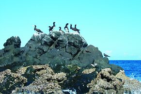 Constance Tsarabanjina