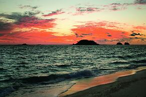 Constance Tsarabanjina