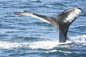 Holiday Inn Express Deer Lake by IHG