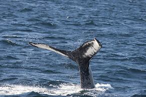 Holiday Inn Express Deer Lake by IHG