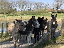 B&B Bariseele Adults only