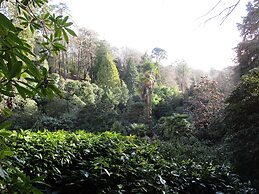 Gallen-treath Guest House