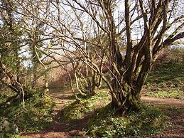 Gallen-treath Guest House