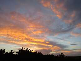 Gallen-treath Guest House