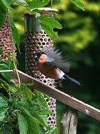 Gallen-treath Guest House
