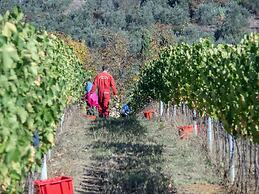 Castello di Pratelli