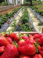 Masseria San Martino