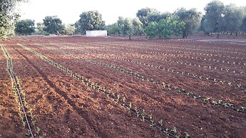 Masseria San Martino