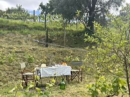 Carmo's Boutique Hotel