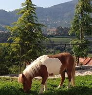 Carmo's Boutique Hotel