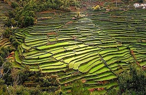 Carmo's Boutique Hotel