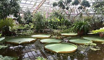 Heeren van Noortwyck