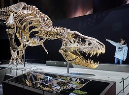 Heeren van Noortwyck