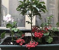 Hôtel de France Invalides