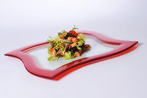 Hotel Restaurant Hof van Twente