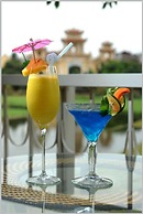 WILD LOTUS APARTMENT 2