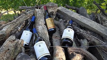 Agriturismo Marcarini