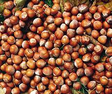 Agriturismo Marcarini