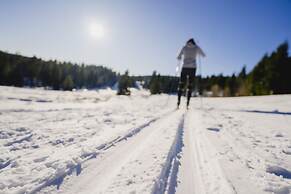 Waldhotel am Notschreipass