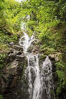 Waldhotel am Notschreipass