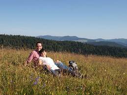 Waldhotel am Notschreipass