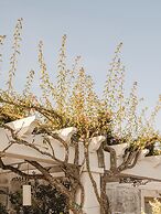 Hotel Rural Morvedra Nou