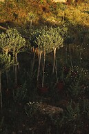 Hotel Rural Morvedra Nou