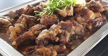 Hotel Kirishima Castle