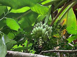 Petit Villa Boutique & Spa