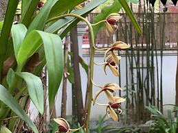 Petit Villa Boutique & Spa