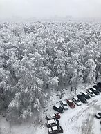 Sunflower Hotel Rumyantsevo