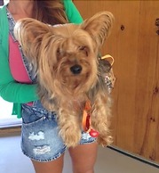 La Viuda De Jose Ignacio