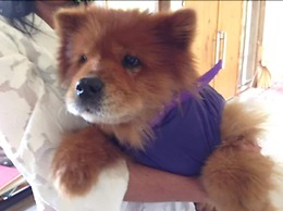 La Viuda De Jose Ignacio