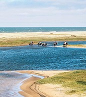 La Viuda De Jose Ignacio