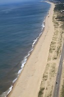 La Viuda De Jose Ignacio