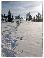 Evasion Tonique