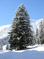 Alpenbad Hotel Hohenhaus