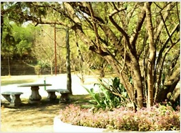 Cozy Guestrooms in Midrand