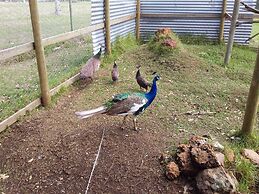 The Grange on Kalgan Farm Stay Albany