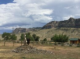 Eycat Lodging Company