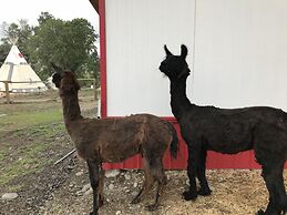 Eycat Lodging Company