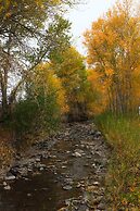 Eycat Lodging Company