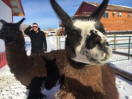 Eycat Lodging Company