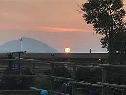 Eycat Lodging Company