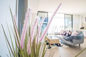 Lively 2bed1bath Mascot APT