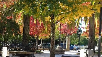 Suite for Three in Converted Barn on Ground Floor